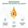 Vitamin E Capsules Softgels 400IU (Advised Intake) - 6 Month