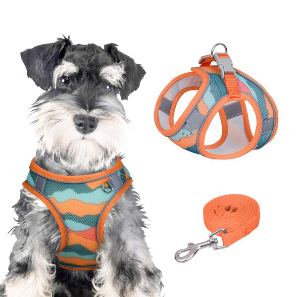 PawSailor Dog Harness and Leash Set Soft Mesh Step-in No