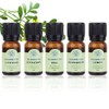 Peppermint Aromatherapy Massage Essential Oil 9 Types - Sweet Orange / 페퍼민트 아로마테라피 마사지 에센셜 오일 9종 - 스위트오렌지