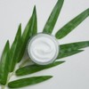 Cream Milk Essential Houttuynia cordata Cream 50ml, 1 piece /