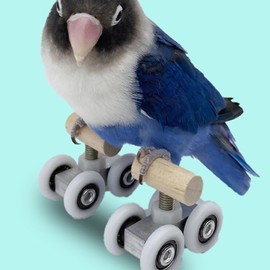 Parrot Toys,1 Pair Roller Skate Bird Toys for Parakeets - Interactive Entertainment and Exercise Companion Adjustable for Indoor Outdoor Conure Lovebird