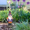 Clemson Resin GNOME