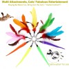 CA&T Interactive Cat Toys - Retractable Wand Toy and Feather