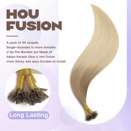 Sindra Pre Bonded U Tip Extensions Human Hair Light Ash Brown Fading to Platinum Blonde Remy Hair 16 Inch U Tip Hair Extensions Hot Fusion Keratin Hair Extensions 0.8g/strand 40grams (U860-16)