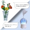 Hotarakashi Silver Slime Remover, Antibacterial Agent for Silver Ion Glass,