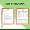 Organic Spirulina - BCAA Iron Vitamin A 65% Protein 17%