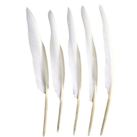 50pcs White Feathers 10~12 Inches Long,Beautiful Bulk Feather for Crafts 26-31CM,Big Size Bilateral Natural Goose Feather,for Wedding Dress and Party Decoration,DIY Fabricating Handicraft Article (White)