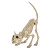 Crazy Bonez Skeleton Cat - Lil' Kitty Bonez