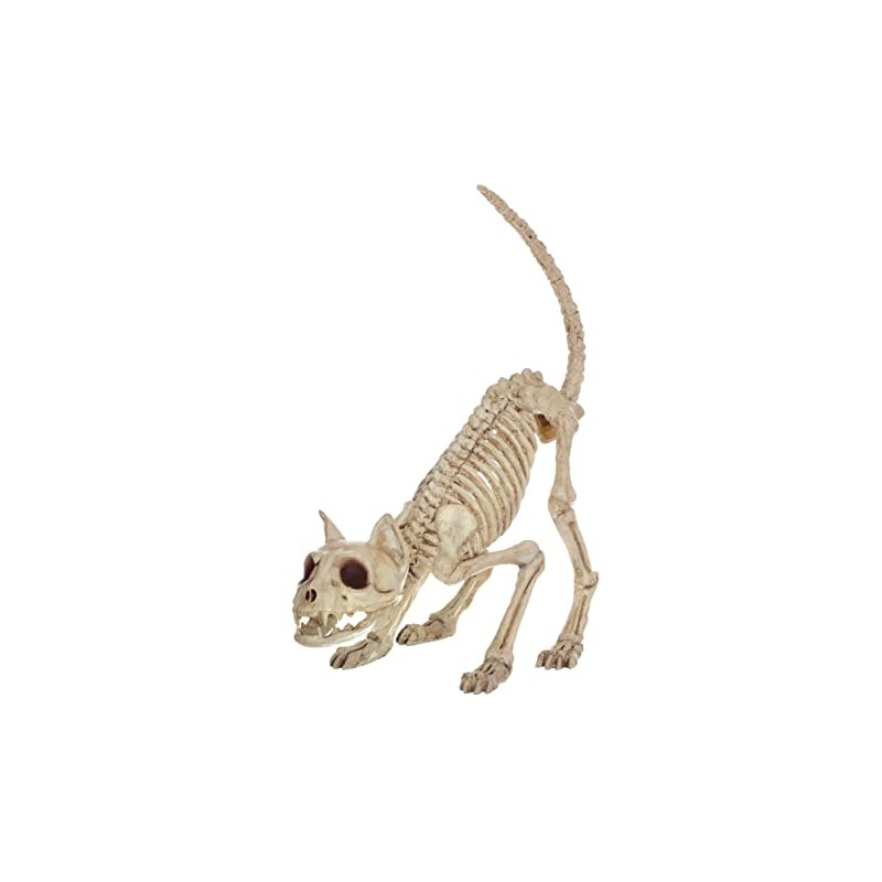 Crazy Bonez Skeleton Cat - Lil' Kitty Bonez