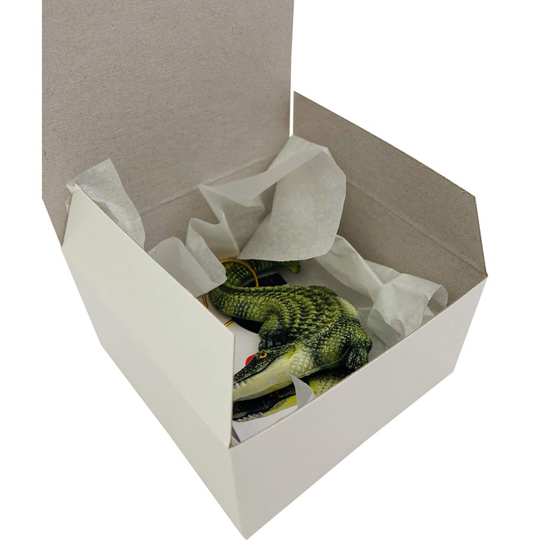 Alligator Ornament Legend of The Christmas Gator Set Find Me