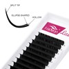 FADVAN Flat Lashes, 0.20C Curl Eyelash Extension, 1:1, Ellipse Flat