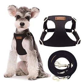 No Pull Small Dog Harness with Multifunction Dog Leash,Lightweight Soft Adjustable No Choke Escape Proof Pet Harness Vest Pet Harness Vest,Black,S