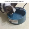 Babypet Pet Heated Bowl, 2000ml Thermal Automatic Constant Temperature Pet