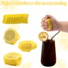BOXOB 100 Packs Lemon Covers for Squeezing, Lemon Juice Net