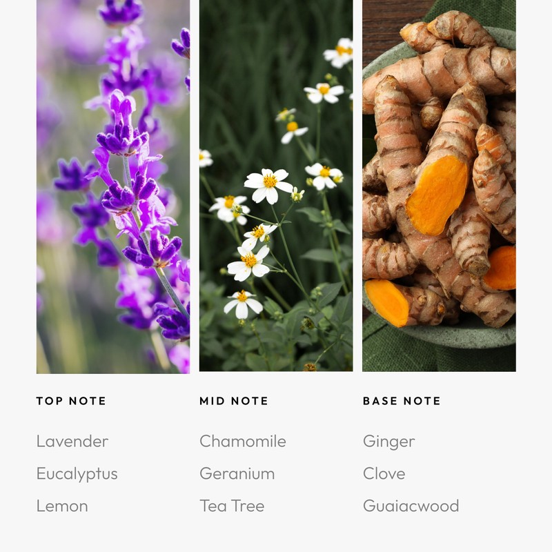 Aroma360 Fragrance Diffuser Oil - Luxury Hotel Inspired - Exhale