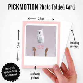 PICKMOTION Dogs | Set of 2 Folded Cards | Greeting Cards - Including envelope, Pictures of Instagram Photographers, designed in Berlin - Greeting Cards, colorful, BKK-0163-EN