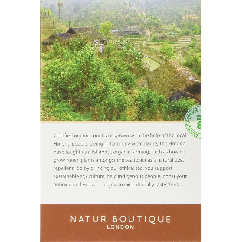 Natur Boutique Organic Ginger 20 Teabags
