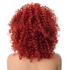 PORSMEER 14 inch Afro Curly Wigs for Women, Short Loose