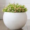 FloraFairy Fiberstone Sphere Planter, 19.3" Dia x 13" H Large