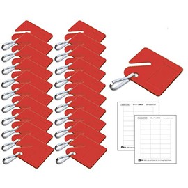 Lucky Line Square Slotted Cabinet Key Tag with Hooks and Labels, 20 Pack (2667020)