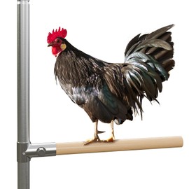 Belinova 8-Pack Chicken Perches Set - Durable Chicken Coop Accessories, Strong Roosting Bars for Coop Chicken Toys for Large Hen & Chick Wood Stand-Vertical Pole Not Included
