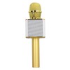 Wireless Microphone System Bluetooth Home Rechargeable Handheld Portable KTV Karaoke
