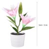 Solar LED Artificial Lily Lamp Simulation Bonsai Decor Flower Light