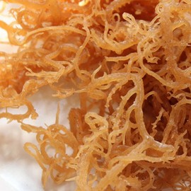 HalalEveryDay HalalEveryDay Wildcrafted Irish Sea Moss - 1lb Bag- 100% Pure All Natural | Vitamin & Mineral Rich | No Preservatives | Golden | 16 oz