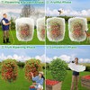 Evoio Fruit Tree Netting Bags with Drawstring, 4PCS Blueberry Bush