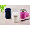 Asvel Luntus Stainless Steel Insulated Soup Bottle