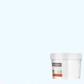 Vasari Lime Plaster & Paint | COLORANT | Concentrated Liquid Tint | Group 2 | Color: Polar #47
