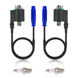 2pcs Ignition Coil Spark Plug For Kawasaki Brute Force 750 KVF750 Teryx 750 KRF750 Teryx4 800 KRT800 Teryx 800 KRF800 21130-1071 21121-0721 21121-0039 21121-0725 21121-0716 21121-0717
