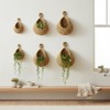 6 Pack Natural Cotton Rope Hanging Basket Hand Woven Wall