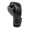 Everlast Powerlock 2R Training Glove - Black - 12 oz