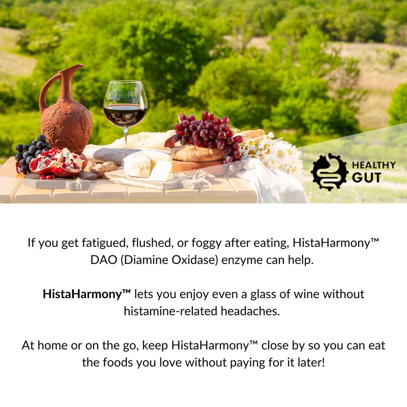Healthy Gut HistaHarmony | Delayed Release DAO Enzyme Supplement |