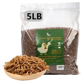 22 lbs Dried Mealworms, 100% Non-GMO Natural High-Protein,Treats for Chicken, Fish, Bird Food(22LB)