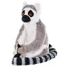 Wild Republic - Cuddlekins - Ring Tailed Lemur - 12