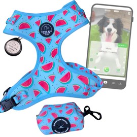 GoodBoyRoger Have you ever lost your pet? Localizable Dog Cat Harness for Small, Medium and Large Dogs, No GPS and No Subscription, Vest Anti-Pull (M,
