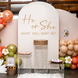 He or She Baby Gender Reveal Wall Decals - Vinyl Stickers for Backdrop Party Supply