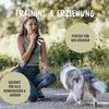 Rudelkönig Dog Whistle for Recall - Professional Training Whistle with