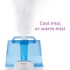 Holmes Ultrasonic Cool and Warm Mist Humidifier, 1 Gallon Ultrasonic