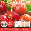 [アセロラ味] 必須アミノ酸 サプリ EAA 人工甘味料不使用 ハルクファクター 520g 国産