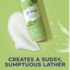 St. Ives St Ives Tea Tree Lemongrass Purifying Body Wash