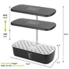Hydroponics Growing System Kit 52 Pods, Indoor Herb Garden with