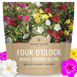 Four O'Clock Mixed Colors Blend - Large 1 Ounce Packet - 300 Flower Seeds for Planting - Mirabilis Jalapa