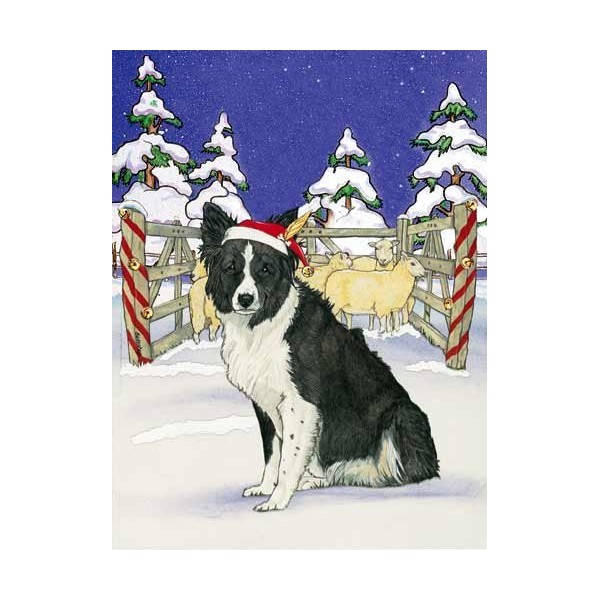 Border Collie Christmas Cards Santa's Cap : 10 Holiday Cards with Envelopes