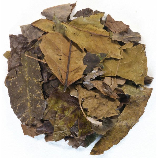 Guayusa Leaf Tea 4 oz (115gr.). Dehydrated leaves in a