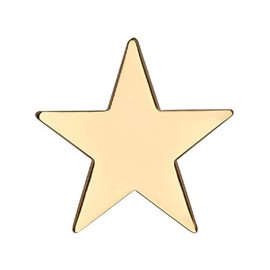 GBJUK Gold Star Pin Lapel Badge with Butterfly Clasp Back