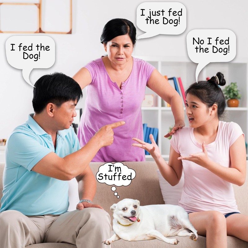 D&J Dog Feeding Reminder, Fridge Magnet with AM/PM Indication Chart