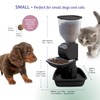 Feeding Friend Automatic Dog & Cat Food Feeder with Water